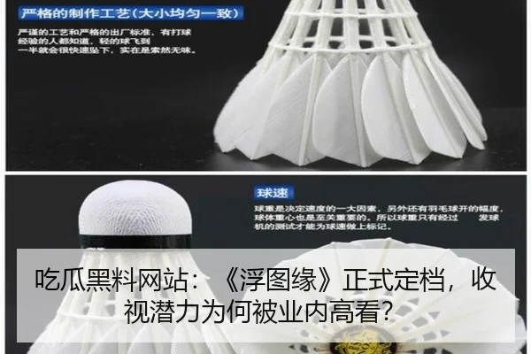 吃瓜黑料网站：《浮图缘》正式定档，收视潜力为何被业内高看？